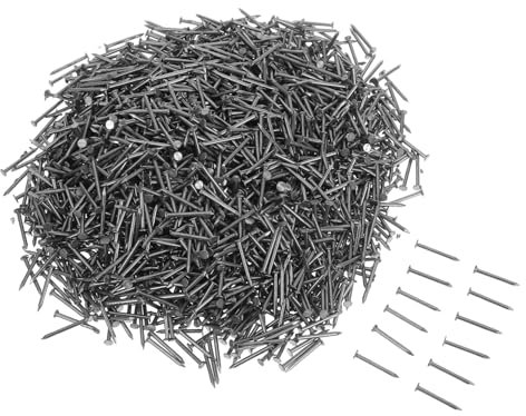 Hoement 1bag Assorted Small Nails Kit Stainless Steel Concrete Nails Point Tip Wall for Finishing Work