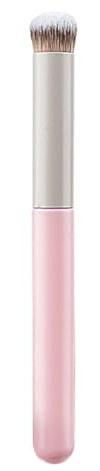 Spugne Per Trucco Da 1 Pc Labbro Smudges Brush Ang Secont Travel Per La Miscelazione E Set Pennelli Lucidatura