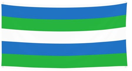 Bandera de Sierra Leona con impresión de carnaval, decoración de fiesta al aire libre para reuniones colgantes festivas, telón de fondo para jardín