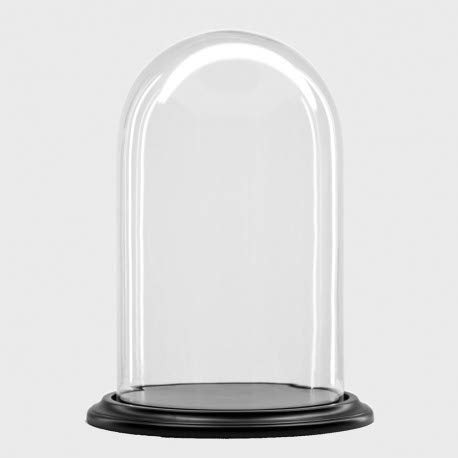 De Museumwinkel.com Glasglocke/Glaskuppel mit schwarzem Boden Ø 19 cm x H 25 cm