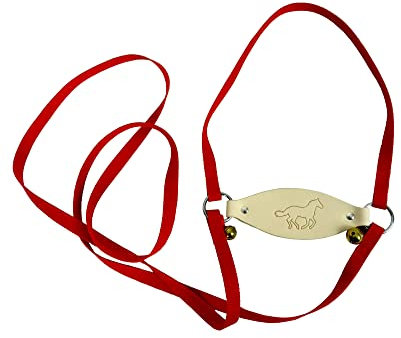 Jamso Design Lotti Pferdeleine zum Spielen für Kinder I Rotes Pferdegeschirr für Kinder zum Spielen I Kinderleine mit Glocken I Aus Leder & Gurtband