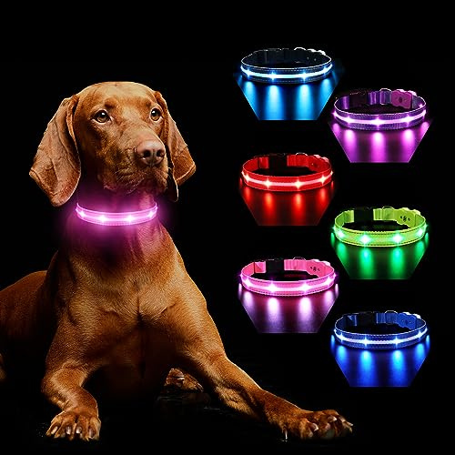 MASBRILL Hundehalsband Leuchtend Aufladbar, Leuchthalsband Hund 7 RGB Farbwechsel mit 8 Leuchtmodi, LED für Kleine Mittlere Große Hunde Leuchtendes Halsband, Rosa L