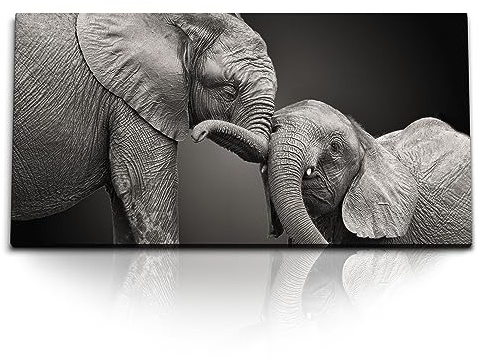 Paul Sinus Wandbild 120x60cm – Berührende Elefanten in Schwarz-Weiß auf Leinwand für besondere Momente der Inneneinrichtung