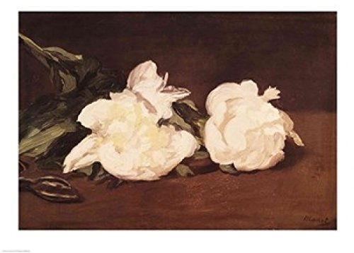 Posterazzi Branch of White Peonies and Secateurs 1864 Poster Print by Edouard Manet, (36 x 24)