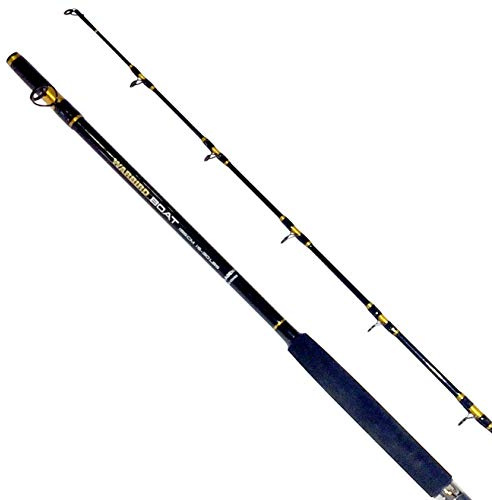 Fladen Angeln Warbird Boot Carbon Angelrute 2 Stück Qualität Allrounder für Meer- und Meerangeln (15-30 lbs Klasse) erhältlich in 1,80 m 1,95 m 2,10 m, Schwarz , 6.4ft / 195cm