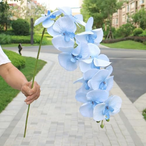 Zoegneer Wiederverwendbare DIY Phalaenopsis Schmetterling Orchidee, blaue Seidenblume, atemberaubend für Heimdekoration