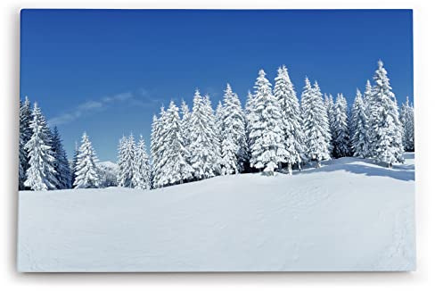 Paul Sinus Wandbild 60x40cm Dekorative Kunst Winterlandschaft Tannen Schnee Weiß Natur