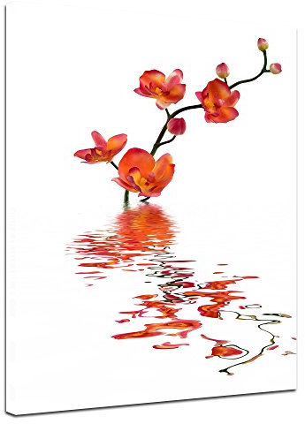 Bilderdepot24 Bild auf Leinwand | Orchidee im Wasser in 60x80 cm als Wandbild | Wand-deko Dekoration Wohnung modern Bilder | 203002