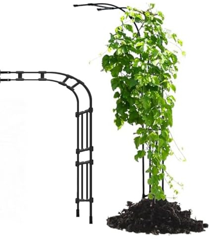 Demi Arche Arceau à Rosiers Tuteur pour Vignes Grimpantes, Arche de Jardin Demi-Mur Latéral Tonnelle Support pour Plantes Grimpantes Exterieur Pelouse Patio 240cm 267cm(Black,375x267x60cm)