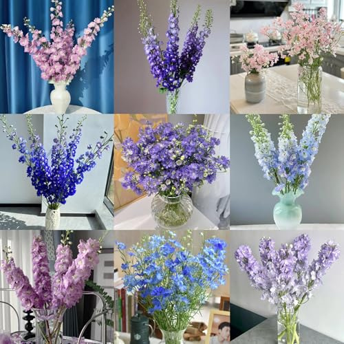 semi resistenti di delphinium ornamentali, decorazione, selvatici di delphinium aiuola, balcone da giardino, 25pcs