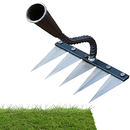 jardin – Râteau à main en carbone Dethatcher | Râteau, déchaumage, désherbage, râteau à excrément, roche, gravier, culture jardin racinaire Aferzov
