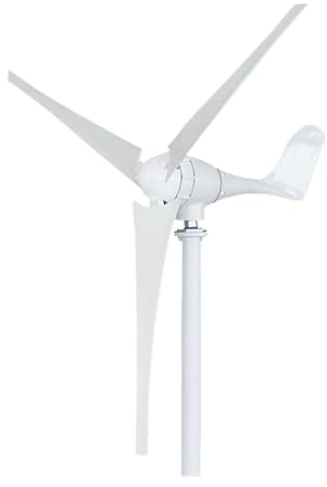 Turbina eólica, Generador de viento 800W, 3 aspas, 12V, 24V, 48V, turbina eólica, generador magnético permanente, energía for uso doméstico, monitoreo y lámpara ciudad(48V)