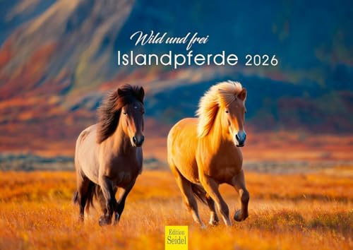 Edition Seidel Premium Kalender Wild und frei Islandpferde 2026 Format DIN A4 Wandkalender Pferdekalender Isländer Island Tiere Pony Stute Hengst Fohlen