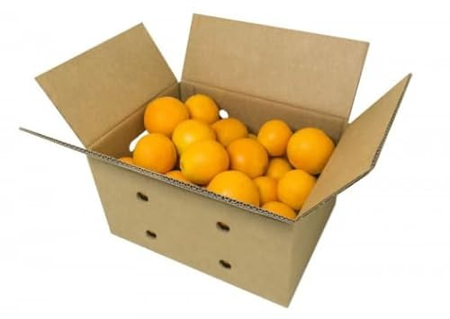 Naranjas Valencianas para Zumo – Caja 5 kg – Recién Cosechadas – Directas del Agricultor