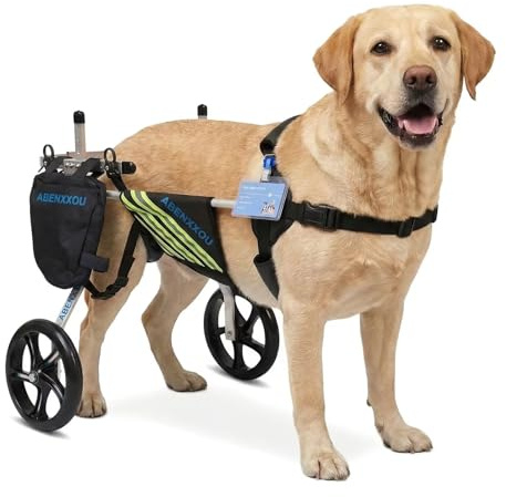 Mittlerer und großer Hunderollstuhl, verstellbar hunderollstuhl hinterbeine, Hilfe bei der Bewegung des verletzten Hundes, für die Rehabilitation der Hinterbeine (M)