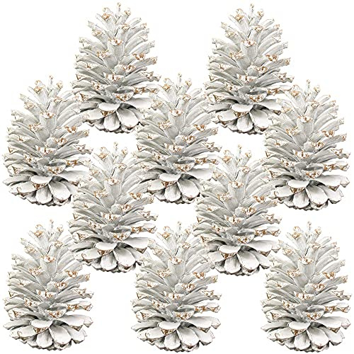 matches21 Deko Zapfen für Gestecke Naturdeko Herbstdeko Tannenzapfen Bastelmaterial weiß Frosted 10er Set je 10-14 cm
