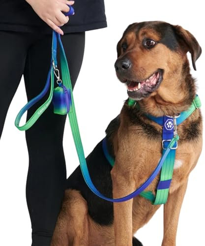 Spark Paws No Pull Hundegeschirr Grosse Hunde, Halterdesign mit Frontclip, Y Geschirr Hund, Robust und Strapazierfähig Harness für Große und Starke Rassen - Lime Wave, L