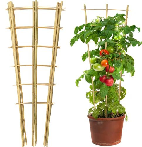 Taoskai 10 Stück 90 cm natürliches Bambusspalier, fächerförmiges Bambus-Pflanzen-Rankgitter für Kletterpflanzen, Gemüse, Gurken, Tomaten, Outdoor- und Indoor-Topfpflanzen