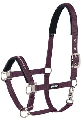 Halfter PIN BUCKLE CORE
