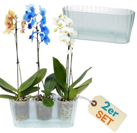 GarPet 2er Set Orchideentopf Transparent Orchideen Übertopf Pflanztöpfe Übertöpfe für Orchideen aus Kunststoff Innen Elegant Durchsichtig Orchideentopf groß