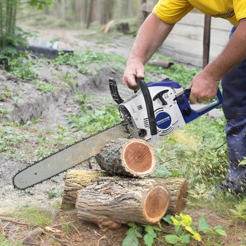 Rodiuiu 58CC 2-Cycle Gas Chainsaw,20 Inch Petrol Handheld Gas Chain Saw,Gas Powered Chainsaw,High-Power Logging Saw for Wood Cutting and Tree Trimming Blue