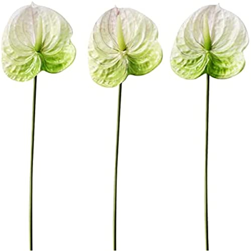 HAOSHICS Fiori artificiali di giglio di Anthurium da 55,9 cm, 3 pezzi, bouquet di fiori tropicali d'imitazione per centrotavola, decorazione per matrimoni e festival (A)