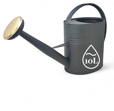 LIVLIG Arrosoir 10L en métal, avec Pomme d'arrosage Amovible, arrosoir Vintage, pour Le Jardin, Couleur : Anthracite