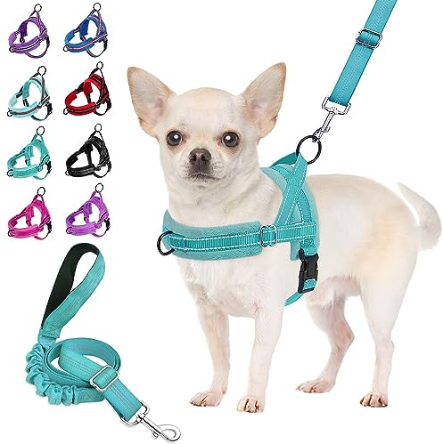SlowTon Set med hundsele och hundkoppel, snabbpassform, sele, mjuk vadderad, husdjurssele med hundkoppel, justerbar, reflekterande bilsele och bungee