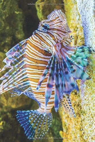 Aquarium Tagebuch: Planer, Notizbuch, Bestandsbuch, Futterplan für alle Auqarianer und Aquaristik Fans ♦ Logbuch für über 100 Einträge ♦ 6x9 Format ♦ Motiv: Feuerfisch
