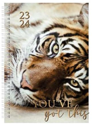 2021–2022 A5 WTV Akademischer Fantasie-Kalender – Folien-Finish Tagebuch A5 Wochenansicht für Jahresplaner für Geschäft, Büro, Zuhause, Termine (weiß)