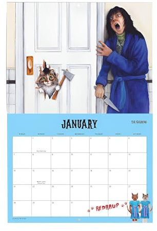 Katzen-Wandkalender 2025,Katzenkalender 2025 - Scaredy Cat Kalender Wandplaner Wandmonatskalender - Monatlicher Tagesplaner mit umklappbarer Anzeige für Büros und Heimdekoration