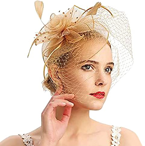 Fascinator Damen, Fascinator Damen Hut Vintage Mesh Federn Kopfbedeckung für Tea Party Hochzeit Cocktail Schleier Kopfschmuck Retro Feder Tee Party Frauen Kirche Haarschmuck Stirnband
