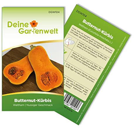 Butternut-Kürbis Waltham Samen - Cucurbita moschata - Butternut-Kürbissamen - Gemüsesamen - Saatgut für 8 Pflanzen – 3er Pack