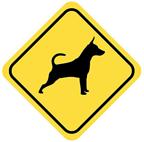 Samunshi® Zwergpinscher Warnschild Warndreieck Aufkleber Achtung Vorsicht Hund - 30x30cm mehrfarbig