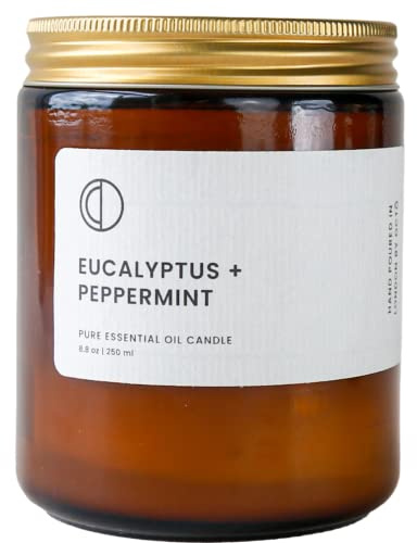 Octo Eukalyptus + Pfefferminze | Natürliche Duftkerze mit Sojawachs und ätherischen Ölen, 250 ml