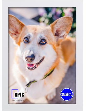 RPJC Bilderrahmen A4 aus Massivholz und High-Definition-Glas Display Bilder 21 x 29,7 cm für Wandmontage Fotorahmen Weiß