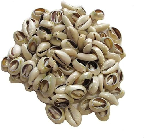 Natürliche Kaurimuschelperlen, oval, afrikanisch, für Haarschmuck, zum Basteln, Basteln, Perlen und Schmuckherstellung, 100 Stück, Weiß und Elfenbein