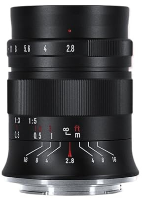Compatibile con obiettivi macro Sony E, Nikon Z, Canon RF, Fujifilm XF, attacco L e attacco M4/3 60 mm F2.8 II APS-C for la fotografia di ritratto(Fuji XF)