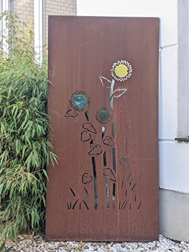 Zen Man 032156-2 Brise-vue en métal avec verre et rouille - Fabriqué à la main - B75 x 150 cm