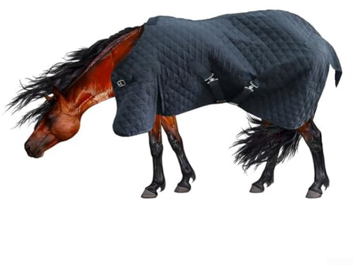 Gilet d'équitation réglable, gilet d'équitation respirant pour chevaux, manteau d'équitation chaud et léger avec ajustement parfait, cou de 80 à 110 cm et circonférence abdominale de 150 à 200 cm