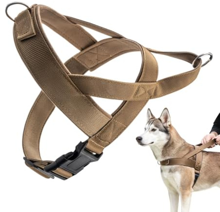 Hund No Pull Harness Andningsbar Mjuk Promenadväst | med Säkerhetsspänne Justerbar Dragsele för Utomhusträning Aktivitet Motion Park MedelRaser Dagligt Bruk