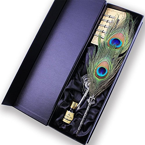 TANSHOP Vintage Feder Kalligraphie Pen Quill Pen Set mit Ständer und 5 Edelstahlspitzen in verschiedenen Größen, Feder Dip Pen Geschenkset (Peacock Feather Pen)