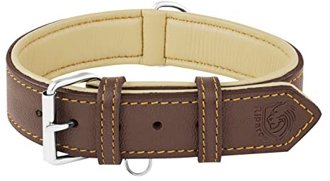 Riparo Echtes Leder Verstellbares Hundehalsband mit Zusätzlicher Verstärkung (L: 3,8CM Breit für 43,2CM - 53,3CM Hals, Braun)