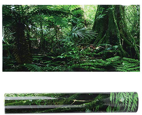 Hztyyier PVC Aquarium Aufkleber, Reptilien Box 3D Regenwald Hintergrund Poster Aquarium Wallpaper Landschaft Selbstklebende Aufkleber(61 * 30cm)