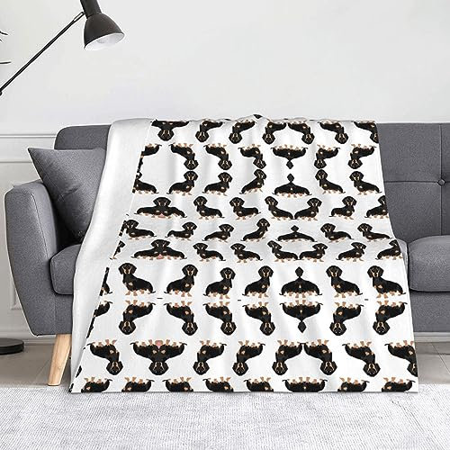 HAHAFU Hundedecke, Picknickdecke, bedruckt, warm, saugfähig, für Bett, Couch