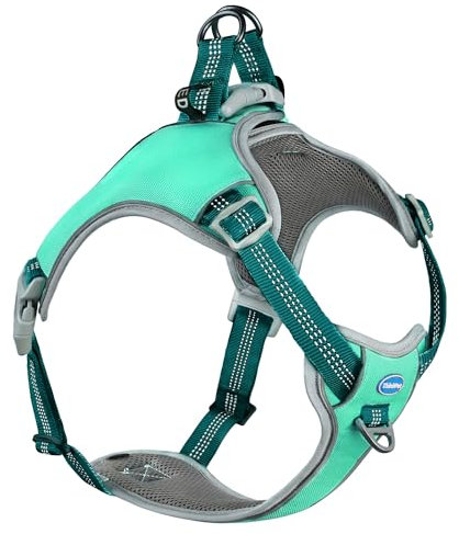 ThinkPet Hundegeschirr gegen Ziehen, ausbruchsicher, reflektierend, verstellbar, atmungsaktiv, Halfter mit Rücken-/Frontclip für bessere Kontrolle
