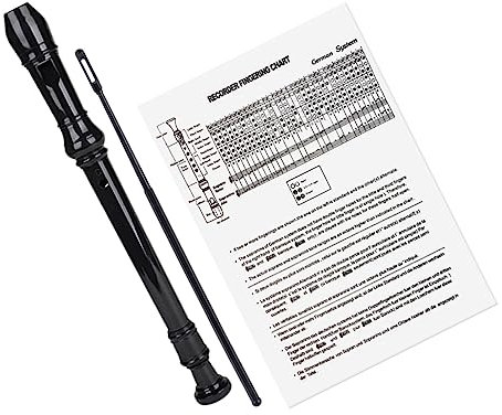 Abaodam 8loch Flöte Für Anfänger Mit Reinigungsstab Und Anleitung Praktisches Blasinstrument Für Musikliebhaber Für Schule Bühne Und Band