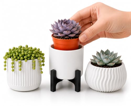 Mini Blumentopf Set Weiß 3er für Sukkulenten 6 cm