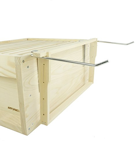 APIFORMES Wabenhalter - Zander