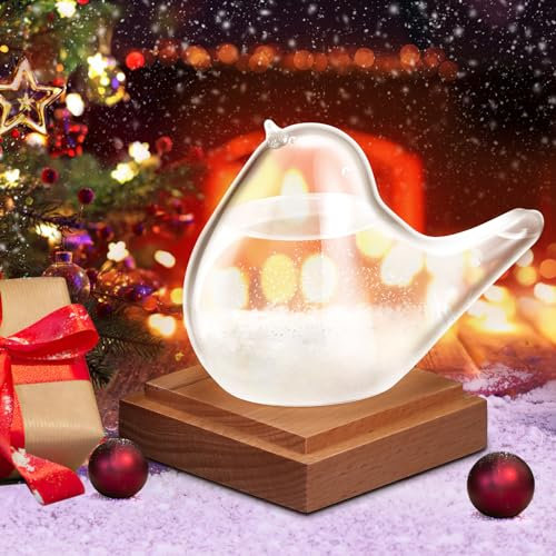 LTXDJ Storm Glass Weather Forecaster, Weather Station Bird Liquid Barometer Cute Creative Decorative Weather Predictor For Home Office, As Gift (Transparent+Wooden Base)